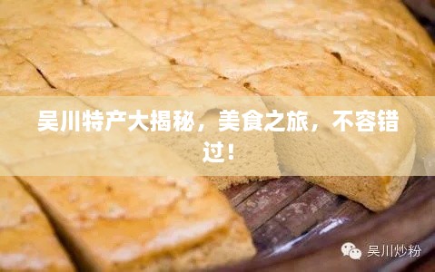 吳川特產(chǎn)大揭秘，美食之旅，不容錯(cuò)過！