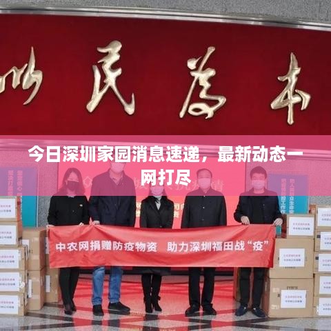 今日深圳家園消息速遞，最新動(dòng)態(tài)一網(wǎng)打盡