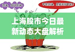 上海股市今日最新動態(tài)大盤解析