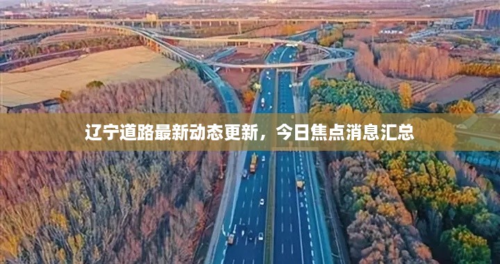 遼寧道路最新動態(tài)更新，今日焦點消息匯總