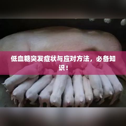 低血糖突發(fā)癥狀與應(yīng)對方法，必備知識！