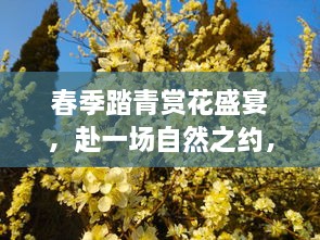 春季踏青賞花盛宴，赴一場自然之約，盡享春光爛漫！