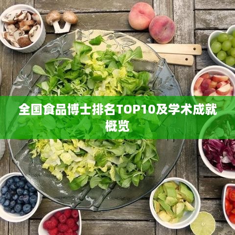 全國食品博士排名TOP10及學(xué)術(shù)成就概覽