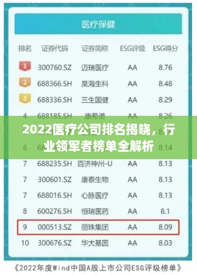 2022醫(yī)療公司排名揭曉，行業(yè)領(lǐng)軍者榜單全解析