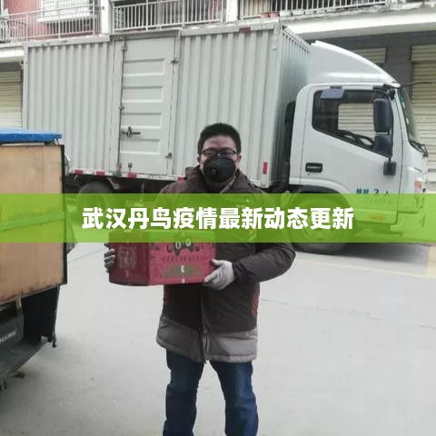 武漢丹鳥疫情最新動(dòng)態(tài)更新