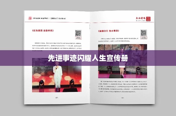 先進(jìn)事跡閃耀人生宣傳冊(cè)