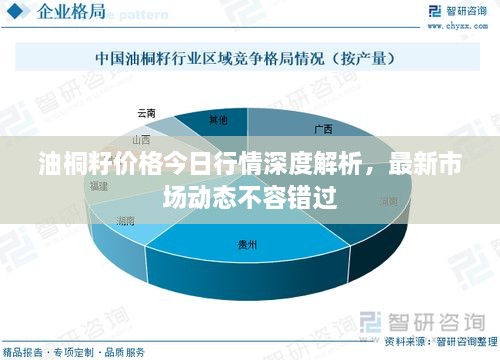油桐籽價格今日行情深度解析，最新市場動態(tài)不容錯過