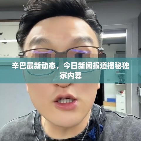 辛巴最新動態(tài)，今日新聞報(bào)道揭秘獨(dú)家內(nèi)幕