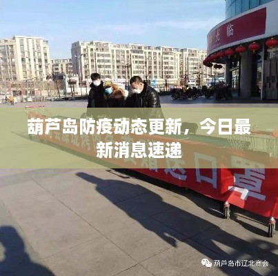 葫蘆島防疫動態(tài)更新，今日最新消息速遞