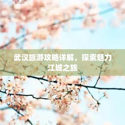 武漢旅游攻略詳解，探索魅力江城之旅