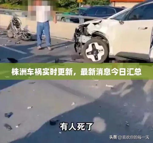 株洲車禍實時更新，最新消息今日匯總