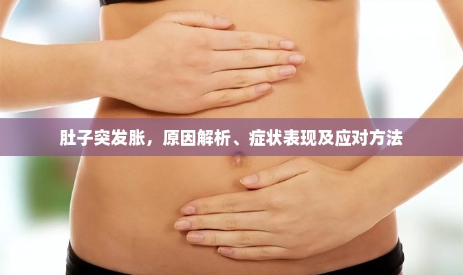 肚子突發(fā)脹，原因解析、癥狀表現(xiàn)及應(yīng)對方法