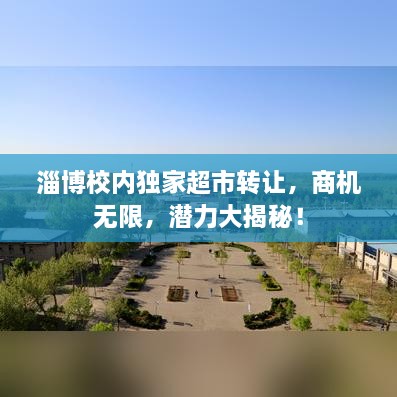 淄博校內(nèi)獨(dú)家超市轉(zhuǎn)讓，商機(jī)無(wú)限，潛力大揭秘！