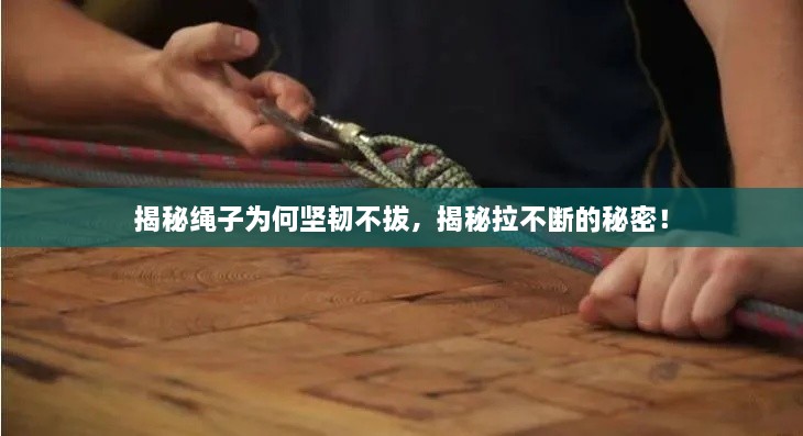 揭秘繩子為何堅(jiān)韌不拔，揭秘拉不斷的秘密！