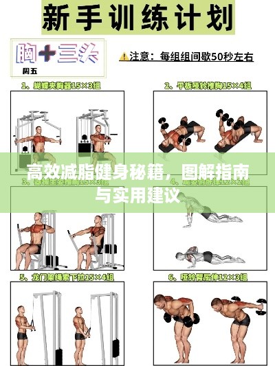 高效減脂健身秘籍，圖解指南與實用建議
