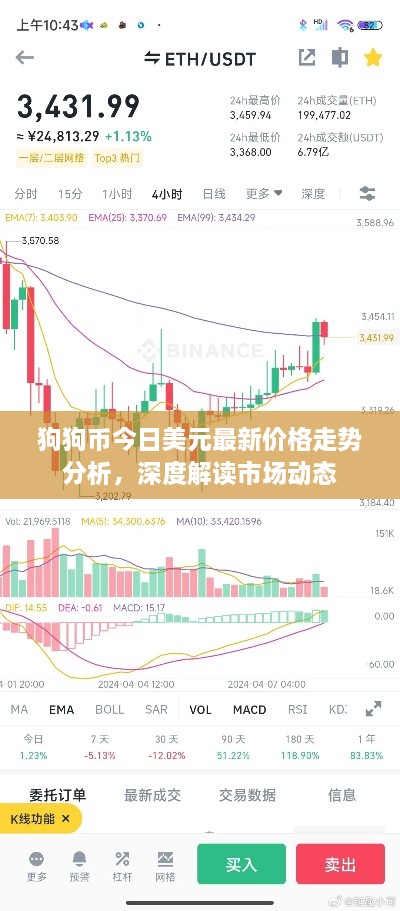 狗狗幣今日美元最新價格走勢分析，深度解讀市場動態(tài)