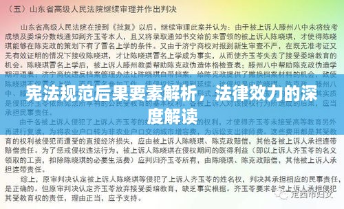 憲法規(guī)范后果要素解析，法律效力的深度解讀