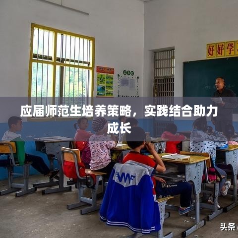應(yīng)屆師范生培養(yǎng)策略，實踐結(jié)合助力成長