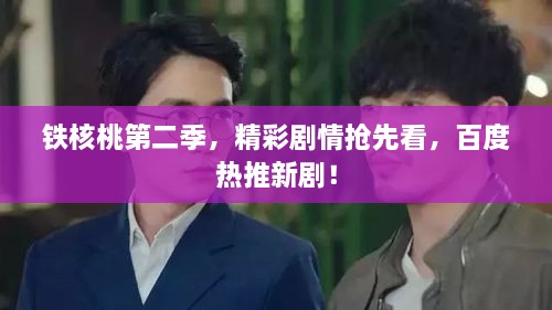 鐵核桃第二季，精彩劇情搶先看，百度熱推新劇！