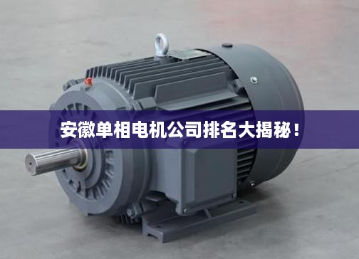 安徽單相電機(jī)公司排名大揭秘！