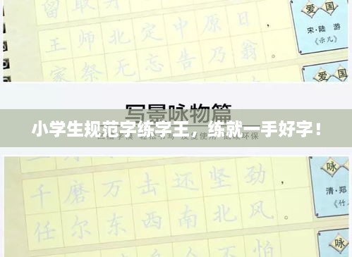 小學(xué)生規(guī)范字練字王，練就一手好字！