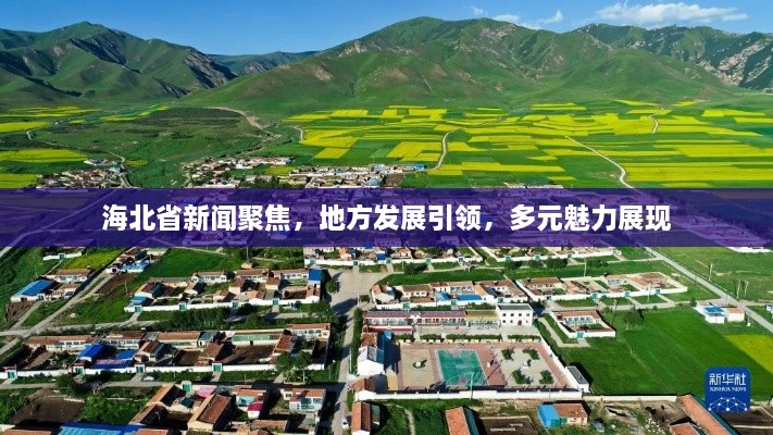 海北省新聞聚焦，地方發(fā)展引領(lǐng)，多元魅力展現(xiàn)