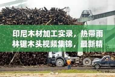 印尼木材加工實(shí)錄，熱帶雨林鋸木頭視頻集錦，最新精彩呈現(xiàn)！
