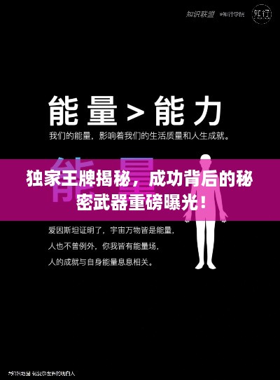 獨(dú)家王牌揭秘，成功背后的秘密武器重磅曝光！