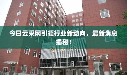 今日云采網(wǎng)引領(lǐng)行業(yè)新動(dòng)向，最新消息揭秘！