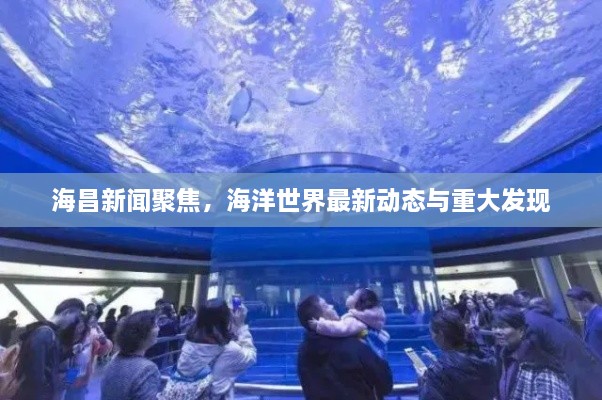 海昌新聞聚焦，海洋世界最新動態(tài)與重大發(fā)現(xiàn)