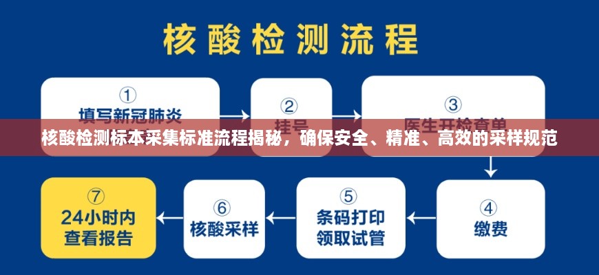 核酸檢測標本采集標準流程揭秘，確保安全、精準、高效的采樣規(guī)范