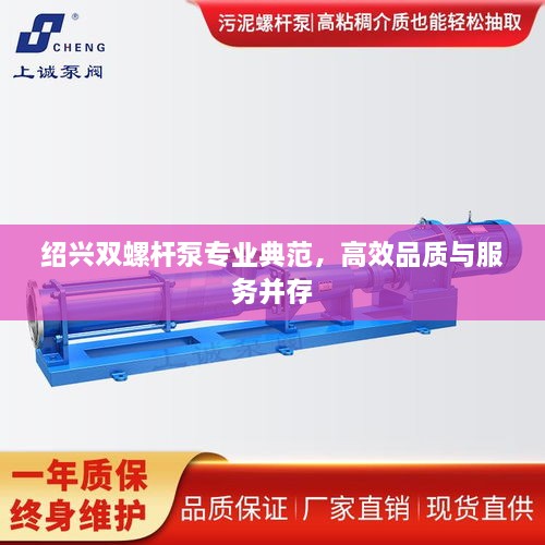 紹興雙螺桿泵專業(yè)典范，高效品質(zhì)與服務(wù)并存