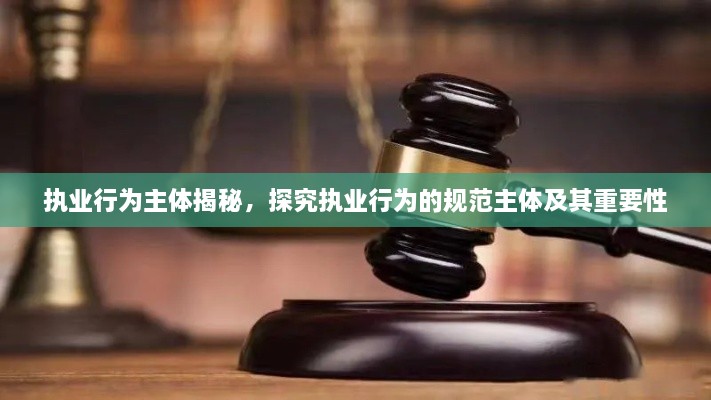 執(zhí)業(yè)行為主體揭秘，探究執(zhí)業(yè)行為的規(guī)范主體及其重要性