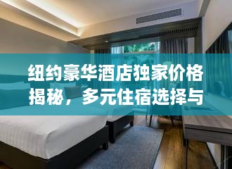 紐約豪華酒店獨(dú)家價(jià)格揭秘，多元住宿選擇與價(jià)值體驗(yàn)之旅
