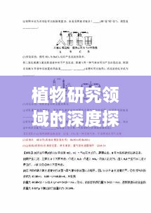 2025年6月11日 第4頁