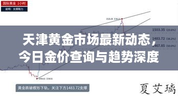 天津黃金市場(chǎng)最新動(dòng)態(tài)，今日金價(jià)查詢與趨勢(shì)深度解析