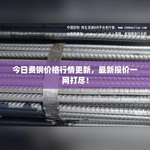 今日費(fèi)鋼價(jià)格行情更新，最新報(bào)價(jià)一網(wǎng)打盡！