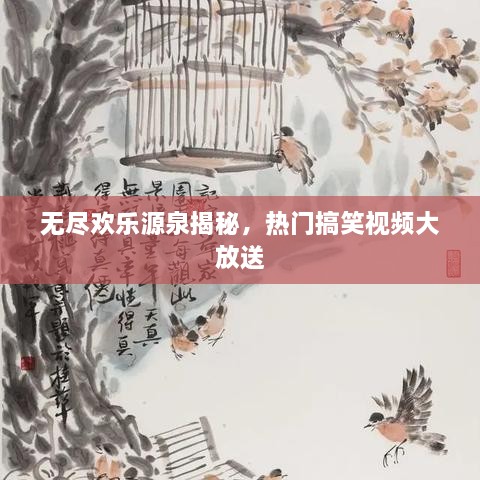 無盡歡樂源泉揭秘，熱門搞笑視頻大放送