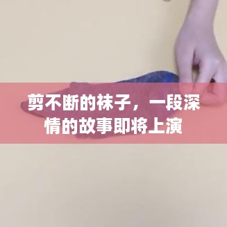 2025年6月13日 第5頁(yè)
