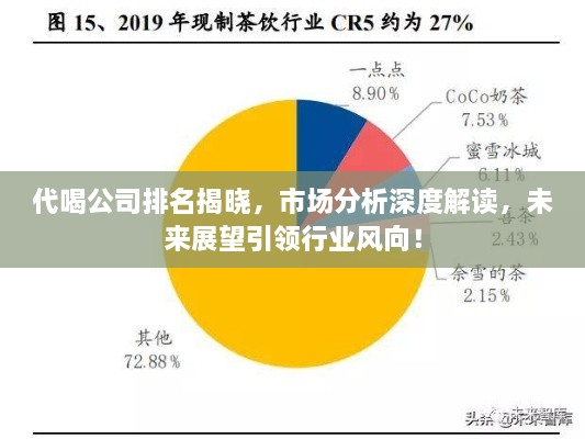 代喝公司排名揭曉，市場分析深度解讀，未來展望引領(lǐng)行業(yè)風向！