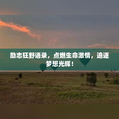 勵志狂野語錄，點(diǎn)燃生命激情，追逐夢想光輝！