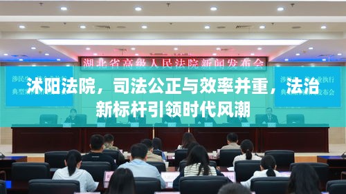 沭陽法院，司法公正與效率并重，法治新標(biāo)桿引領(lǐng)時代風(fēng)潮