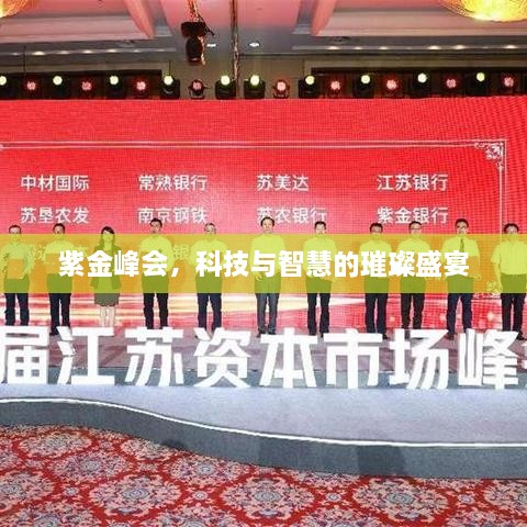 紫金峰會，科技與智慧的璀璨盛宴