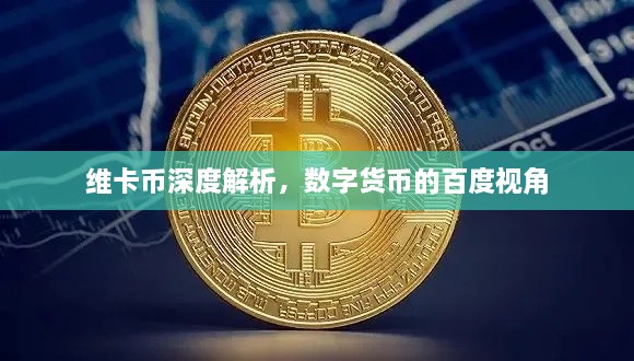 維卡幣深度解析，數(shù)字貨幣的百度視角