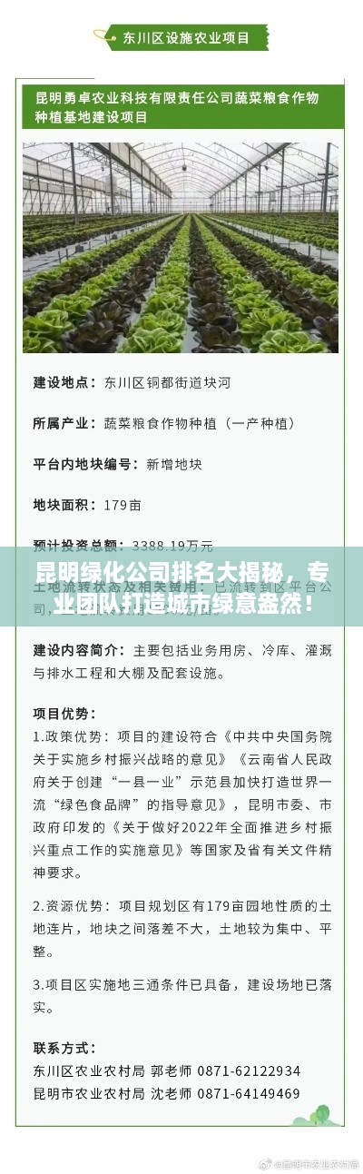 昆明綠化公司排名大揭秘，專業(yè)團隊打造城市綠意盎然！