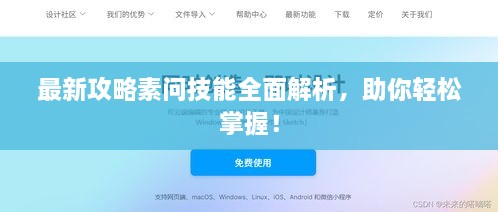 最新攻略素問技能全面解析，助你輕松掌握！