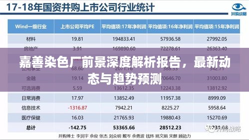 嘉善染色廠前景深度解析報(bào)告，最新動(dòng)態(tài)與趨勢(shì)預(yù)測(cè)