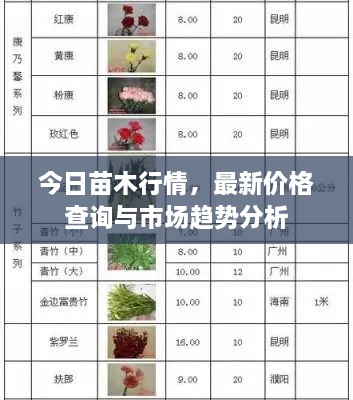 今日苗木行情，最新價格查詢與市場趨勢分析