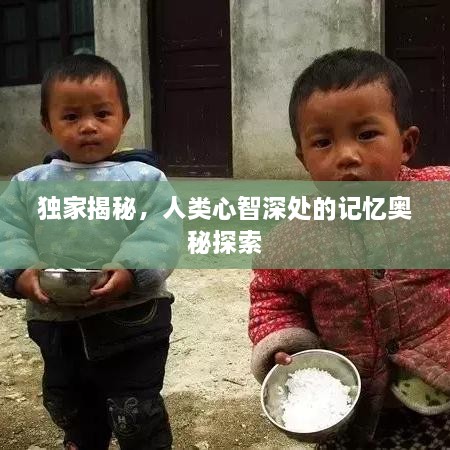 獨家揭秘，人類心智深處的記憶奧秘探索