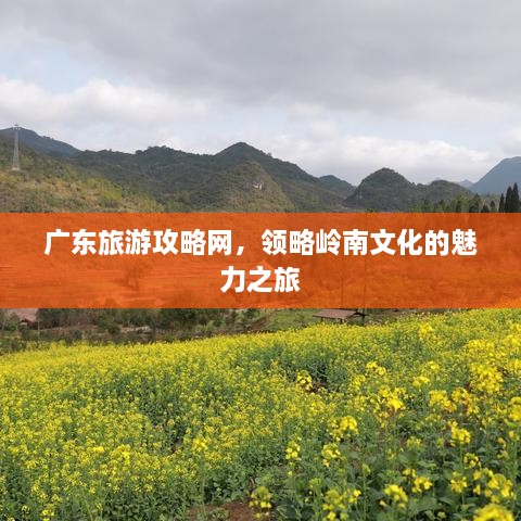廣東旅游攻略網(wǎng)，領(lǐng)略嶺南文化的魅力之旅